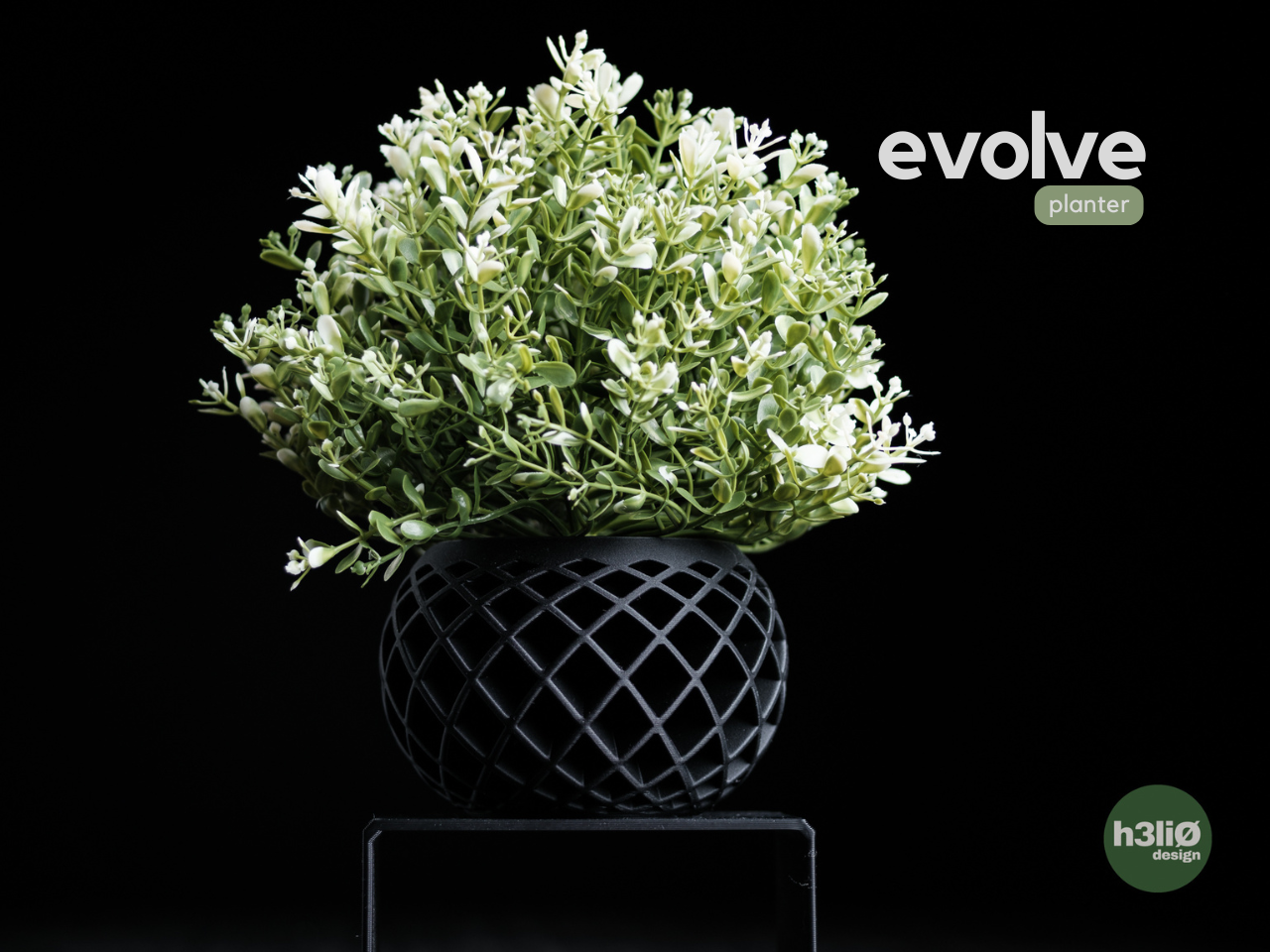 evolve · Pflanzgefäß
